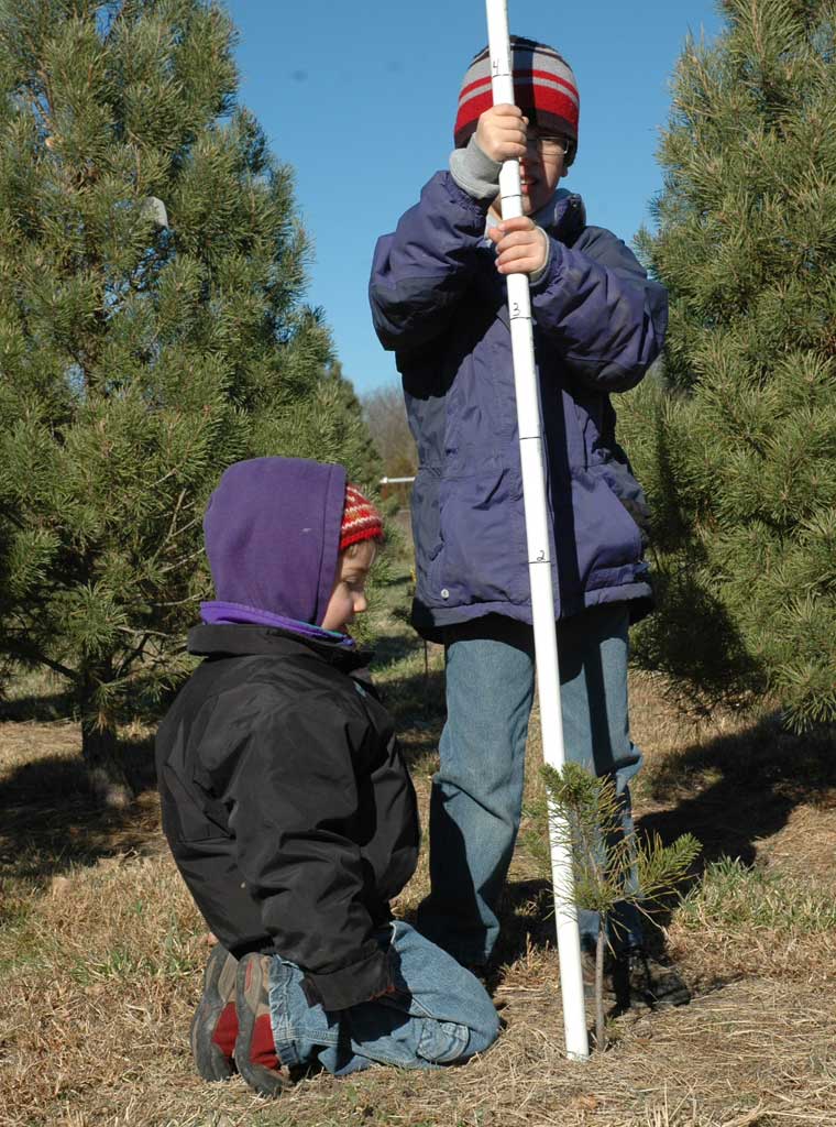 Christmas Tree Measuring Pole